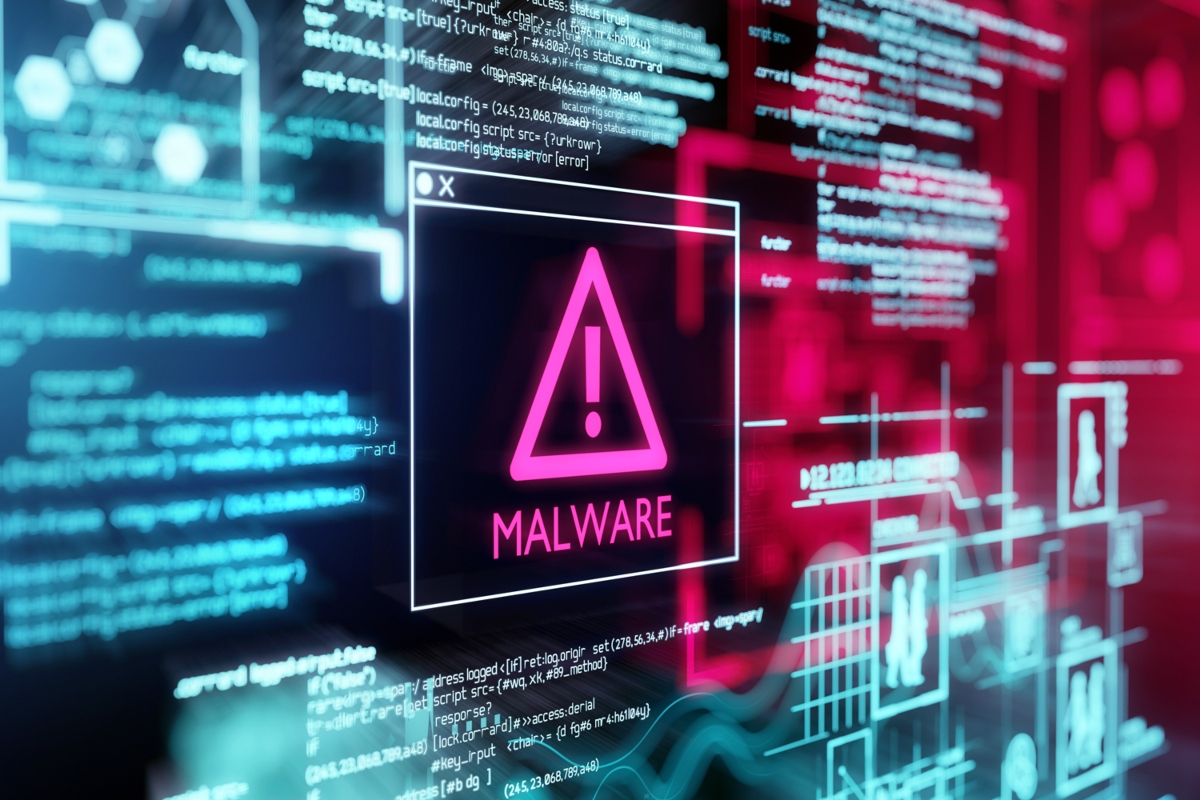 Vigilante Malware