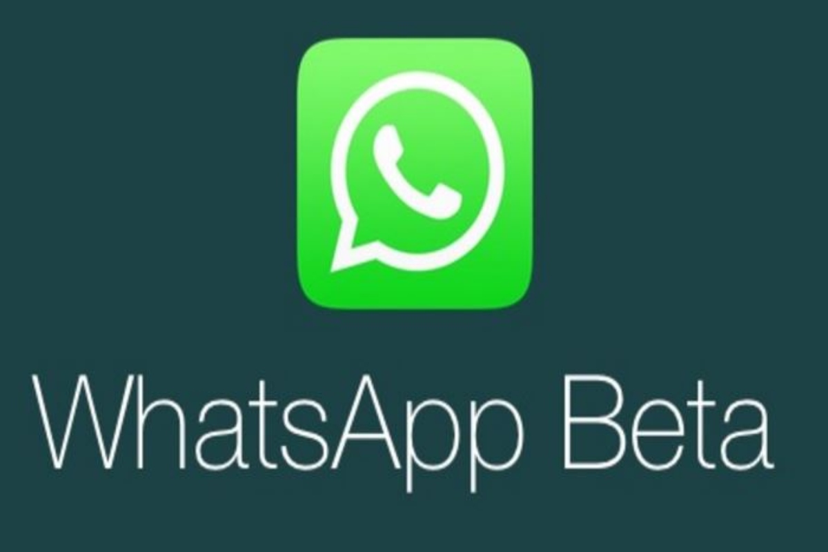 Error beta de WhatsApp expulsa a los usuarios de los grupos